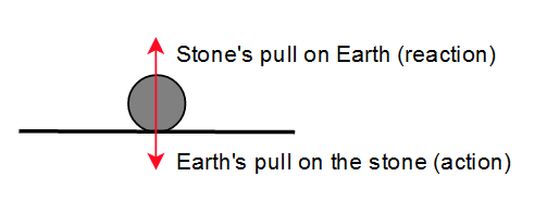 Conceptual Physics - 9780321909107 - Exercise 61 | Quizlet