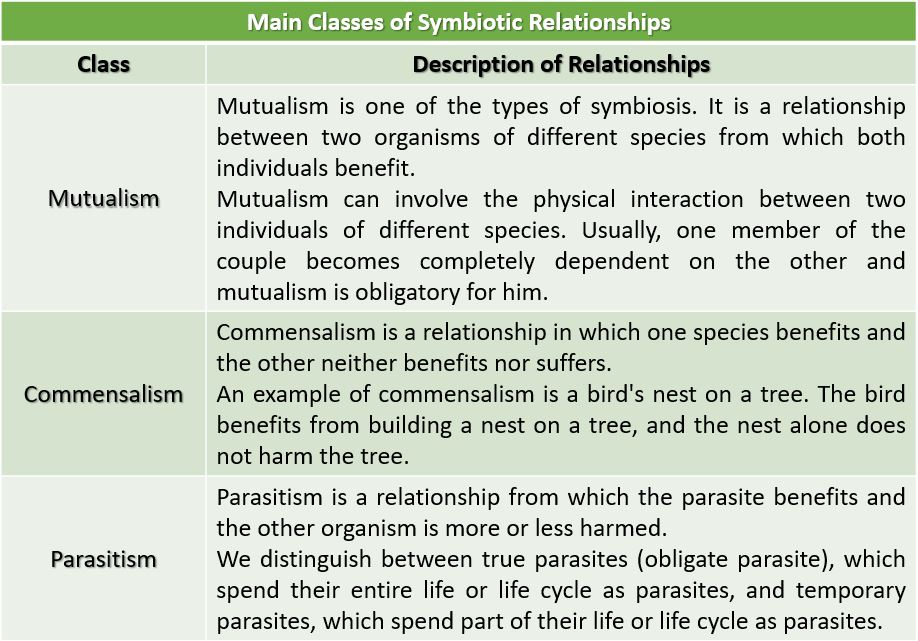 biology-study-workbook-a-9780133687187-exercise-12-quizlet