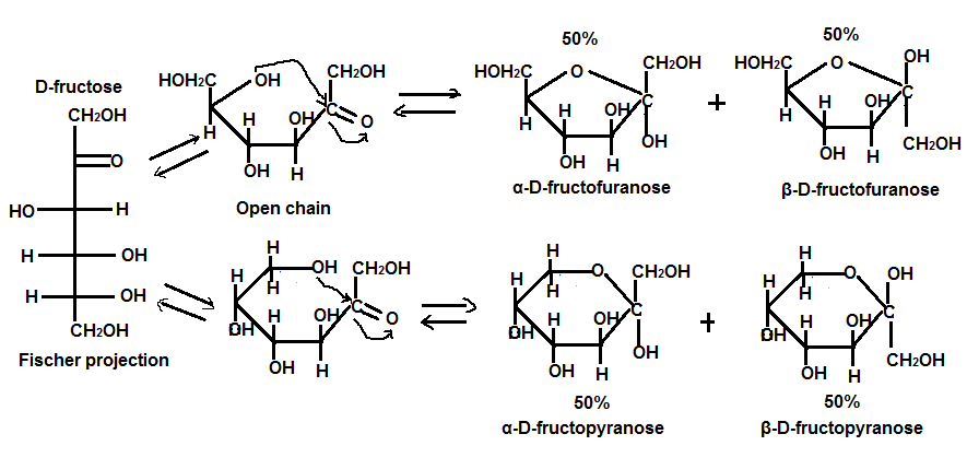 fructopyranose chair