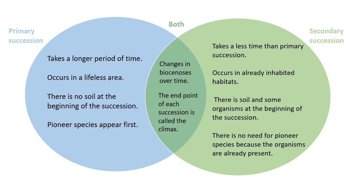 difference-between-primary-and-secondary-succession