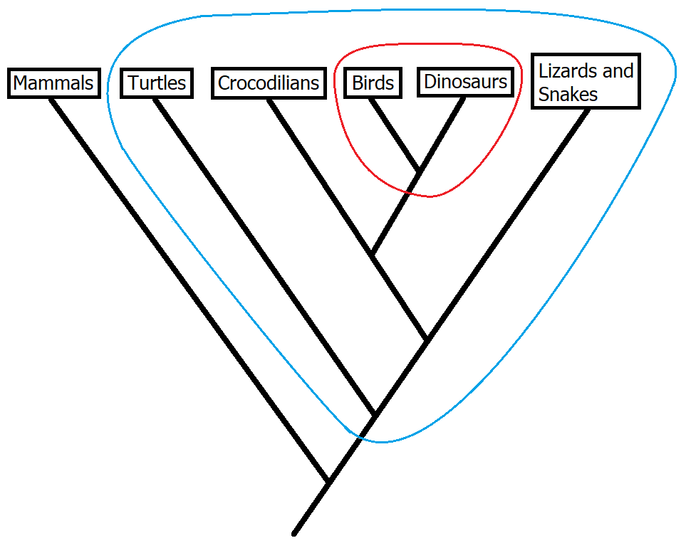 Much evidence supports the hypothesis that modern birds shar | Quizlet