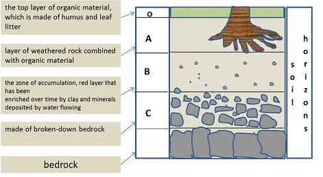 Gelisols Soil Diagram | Quizlet