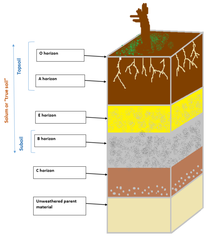 CHAPTER 2  SOIL AND WATER