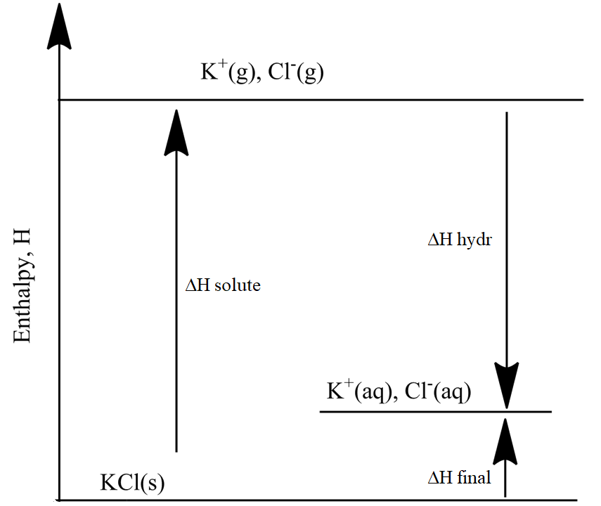 Sketch a qualitative enthalpy diagram for the process of dis | Quizlet