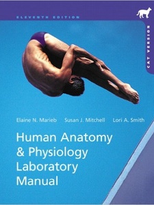 Human Anatomy & Physiology Laboratory Manual 11th Edition by Elaine N. Marieb, Lori A. Smith, Susan J. Mitchell