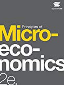 Principles of Microeconomics 2nd Edition by David Shapiro, Steven Greenlaw, Timothy Taylor
