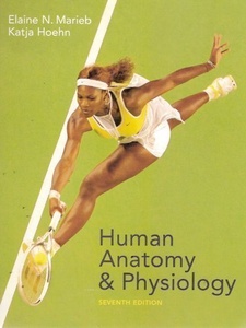 Human Anatomy and Physiology 7th Edition by Elaine N. Marieb, Katja Hoehn