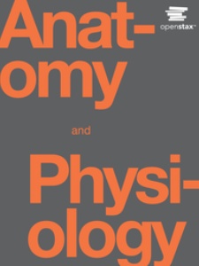 Anatomy and Physiology 1st Edition by OpenStax