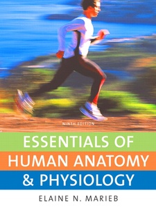 Essentials of Human Anatomy and Physiology 9th Edition by Elaine N. Marieb