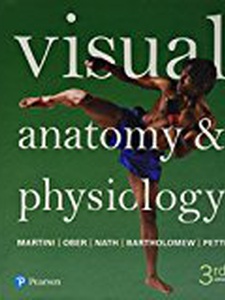 Visual Anatomy and Physiology 3rd Edition by Edwin F. Bartholomew, Frederic H. Martini, Judi Lindsley Nath, Kevin Petti, William C Ober