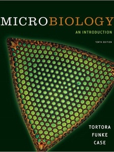 Microbiology: An Introduction - 9780321742698 - Exercise 12 | Quizlet