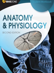 Anatomy and Physiology Student Workbook 2nd Edition by Kent Pryor, Richard Allan, Tracey Greenwood