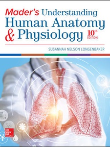 Mader's Understanding Human Anatomy and Physiology 10th Edition by Susannah Longenbaker
