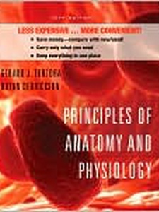 Principles Of Anatomy And Physiology - 12th Edition - Solutions And ...