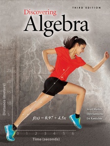 Discovering Algebra: An Investigative Approach 3rd Edition by Kamischke, Murdock