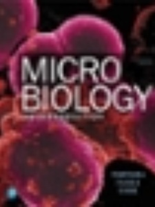 Microbiology - 13th Edition - Solutions and Answers | Quizlet