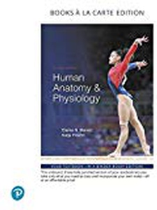 Human Anatomy Physiology 11th Edition by Elaine Nicpon Marieb, Katja Hoehn