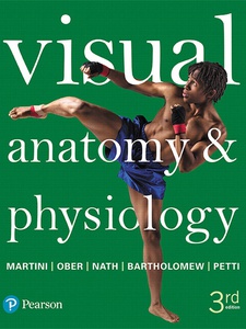Visual Anatomy and Physiology 3rd Edition by Edwin F. Bartholomew, Frederic H. Martini, Judi L. Nath, Kevin Petti, William C Ober