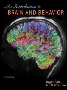 Introduction To Brain And Behavior - 4th Edition - Solutions And ...