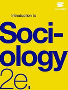 Introduction To Sociology - 2nd Edition - Solutions And Answers | Quizlet