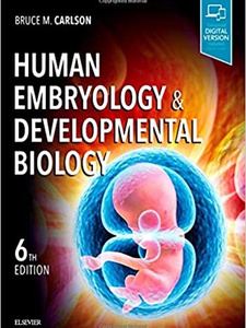 Human Embryology and Developmental Biology - 6th Edition - Solutions ...