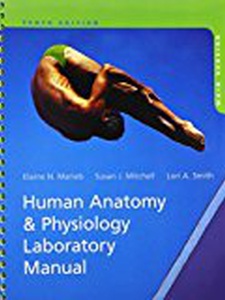 Human Anatomy And Physiology Laboratory Manual, Main Version - 10th ...