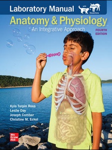 Anatomy And Physiology, Main Version - 4th Edition - Solutions And ...