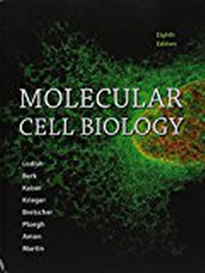 Molecular Cell Biology - 8th Edition - Solutions And Answers | Quizlet