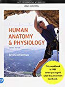 Human Anatomy And Physiology, Workbook - 2nd Edition - Solutions And ...