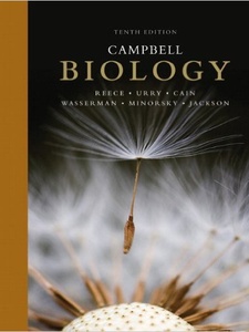 Campbell Biology 10th Edition by Jane B. Reece, Lisa A. Urry, Michael L. Cain, Peter V Minorsky, Robert B Jackson, Steven A. Wasserman
