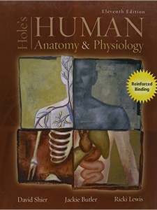 Hole's Human Anatomy and Physiology 11th Edition by David N. Shier, Jackie L. Butler, Ricki Lewis