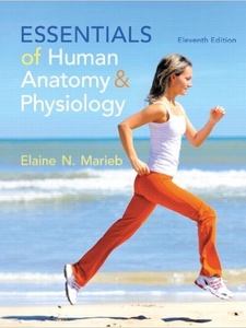 Essentials of Human Anatomy 11th Edition by Elaine N. Marieb