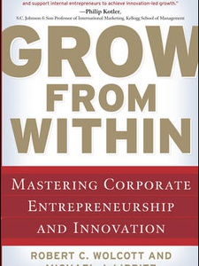 Grow from Within: Mastering Corporate Entrepreneurship and Innovation ...