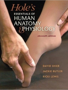 Hole's Essentials of Human Anatomy and Physiology 11th Edition by David N. Shier, Jackie L. Butler, Ricki Lewis