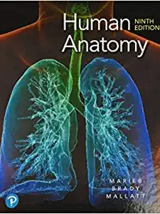 Human Anatomy 9th Edition by Elaine N. Marieb, Jon B. Mallatt, Patricia Brady Wilhelm