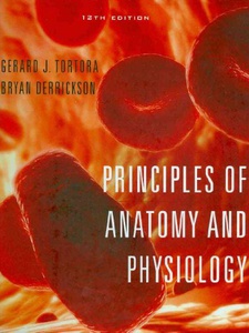 Principles Of Anatomy And Physiology - 9780470391877 - Exercise 21 ...