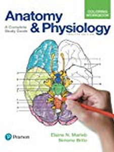 Anatomy And Physiology Coloring Workbook 12th Edition by Elaine Nicpon Marieb