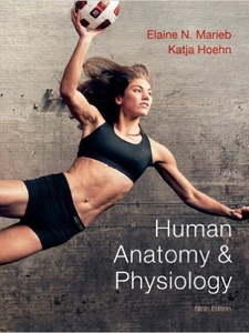 Human Anatomy and Physiology 9th Edition by Elaine N. Marieb, Katja Hoehn