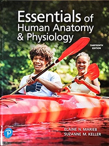 Essentials of Human Anatomy and Physiology 13th Edition by Elaine N. Marieb, Suzanne M. Keller