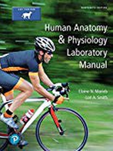 Human Anatomy and Physiology Laboratory Manual, Cat Version 13th Edition by Elaine Nicpon Marieb, Lori A. Smith