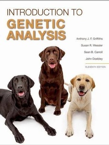An Introduction to Genetic Analysis 11th Edition by Anthony J F Griffiths, John Doebley, Sean B Carroll