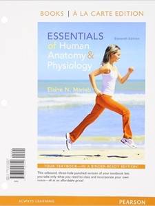 Essentials of Human Anatomy and Physiology 11th Edition by Elaine N. Marieb