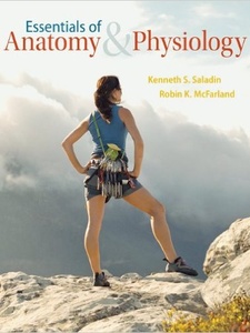 Essentials of Anatomy and Physiology 1st Edition by Kenneth Saladin