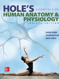 Hole's Essentials of Human Anatomy and Physiology 12th Edition by David N. Shier, Jackie L. Butler, Ricki Lewis