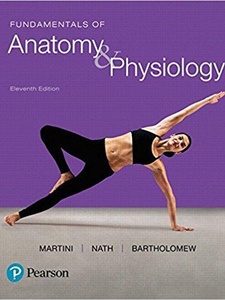 Fundamentals of Anatomy and Physiology - 11th Edition - Solutions and ...