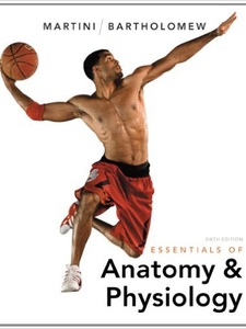 Essentials of Anatomy and Physiology 6th Edition by Edwin F. Bartholomew, Frederic H. Martini