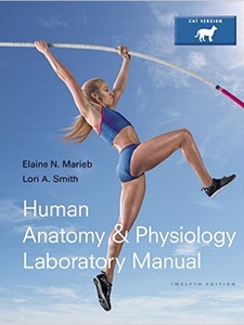Human Anatomy & Physiology Laboratory Manual 12th Edition by Elaine N. Marieb, Lori A. Smith