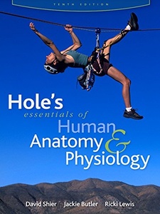 Hole's Essentials of Human Anatomy and Physiology 10th Edition by David N. Shier, Jackie L. Butler, Ricki Lewis