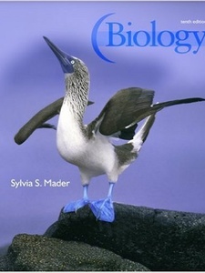 Biology 10th Edition by Sylvia Mader