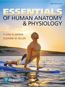 Essentials of Human Anatomy and Physiology 12th Edition by Elaine N. Marieb, Suzanne M. Keller